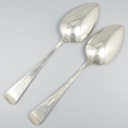 2-delige set groentelepels Haags lofje zilver.