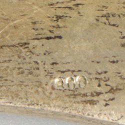 Druivenschaar zilver.