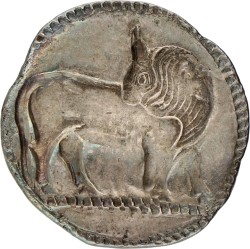 Magna Graecia. Sybaris, Lucania. Stater. ND (550 - 510 BC). VF.