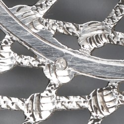 Visschep, Nicolaas Bernardus Antonius Visser, 's-Hertogenbosch 1883, zilver