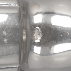 Visschep, Nicolaas Bernardus Antonius Visser, 's-Hertogenbosch 1883, zilver