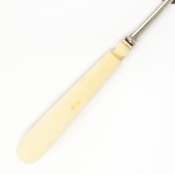 Visschep, Nicolaas Bernardus Antonius Visser, 's-Hertogenbosch 1881, zilver