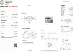 1.06 ct. IGI gecertificeerde natuurlijke diamant